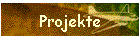 Projekte